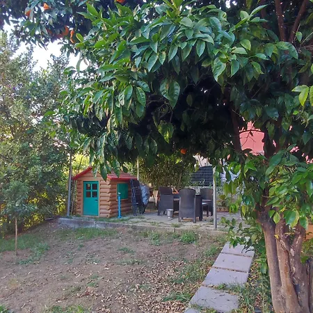 Il Giardino Degli Aranci Vasto