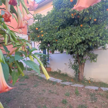 Apartament Il Giardino Degli Aranci