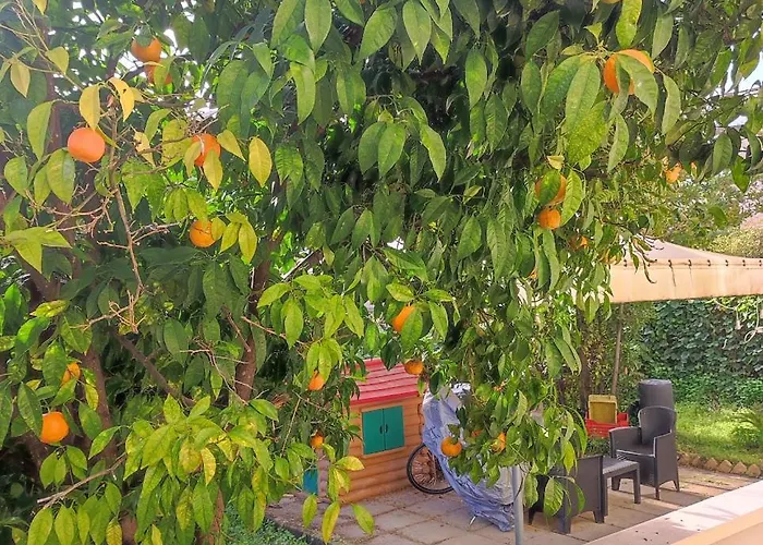 Il Giardino Degli Aranci アパート